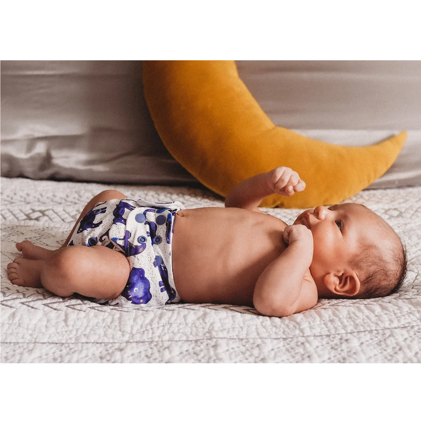 All in One Diaper