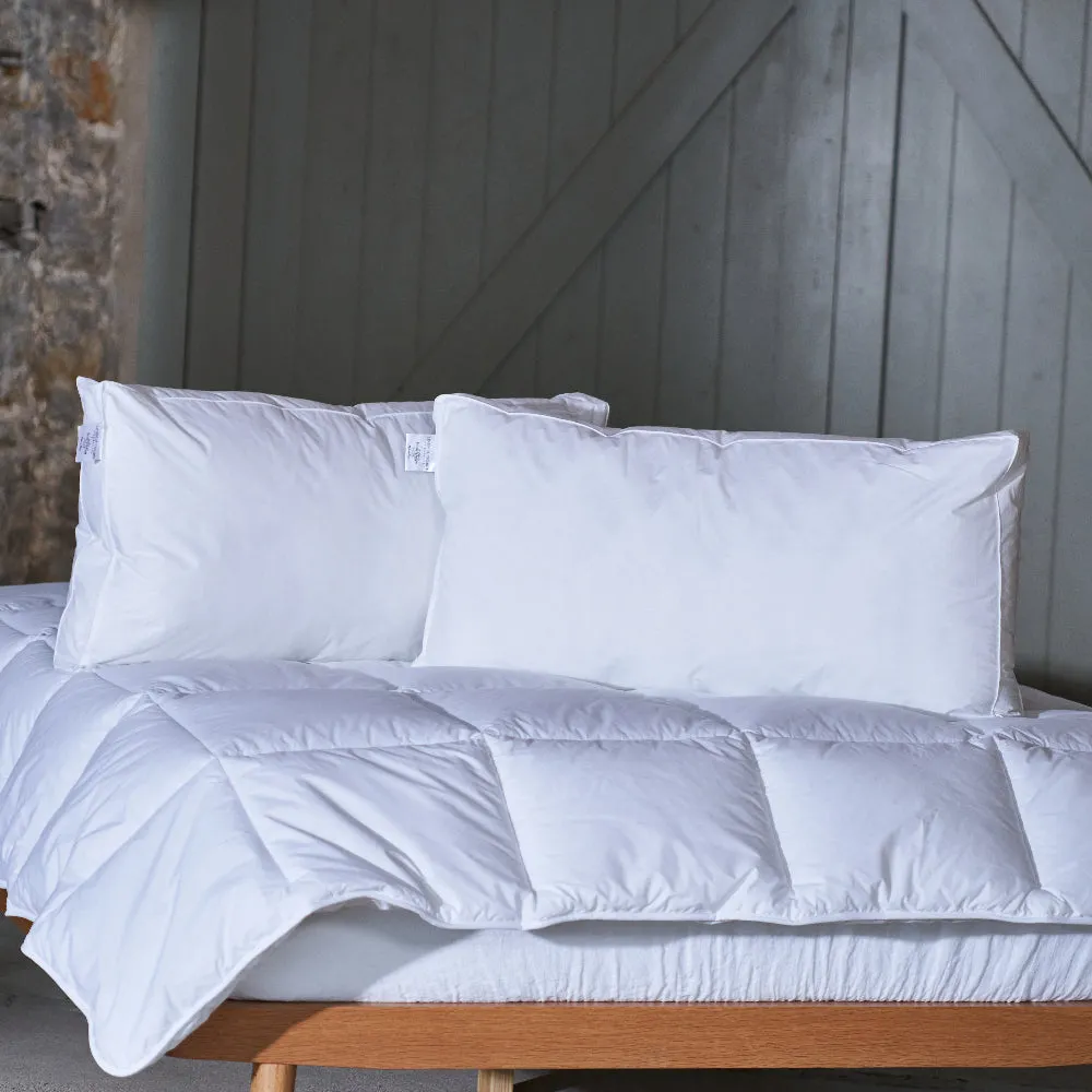 Biodegradable Pillows
