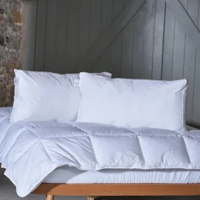 Biodegradable Pillows