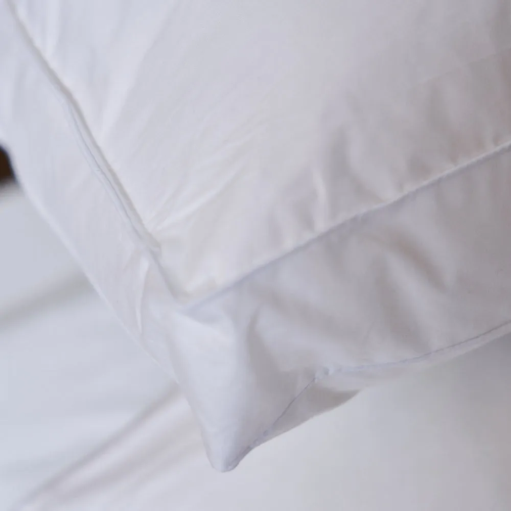 Biodegradable Pillows
