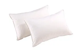 Christy Essential Hollowfibre Pillow Pair