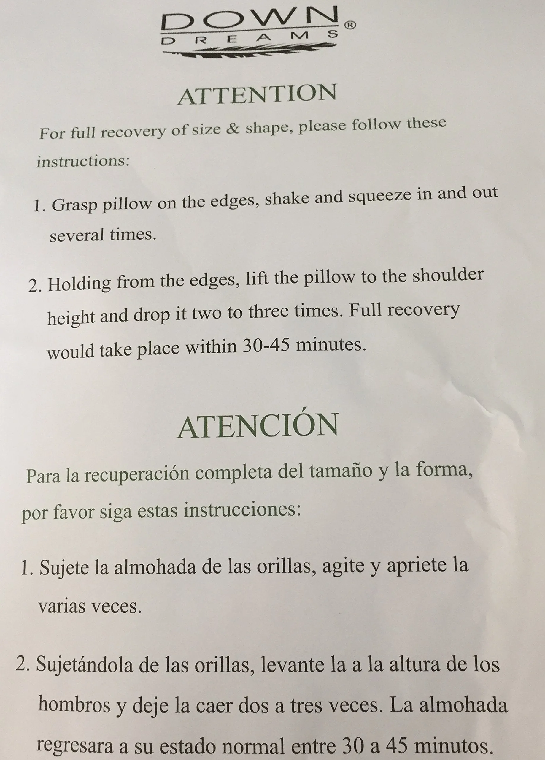 Down Dreams Standard Pillow Set. (2 Pillows)