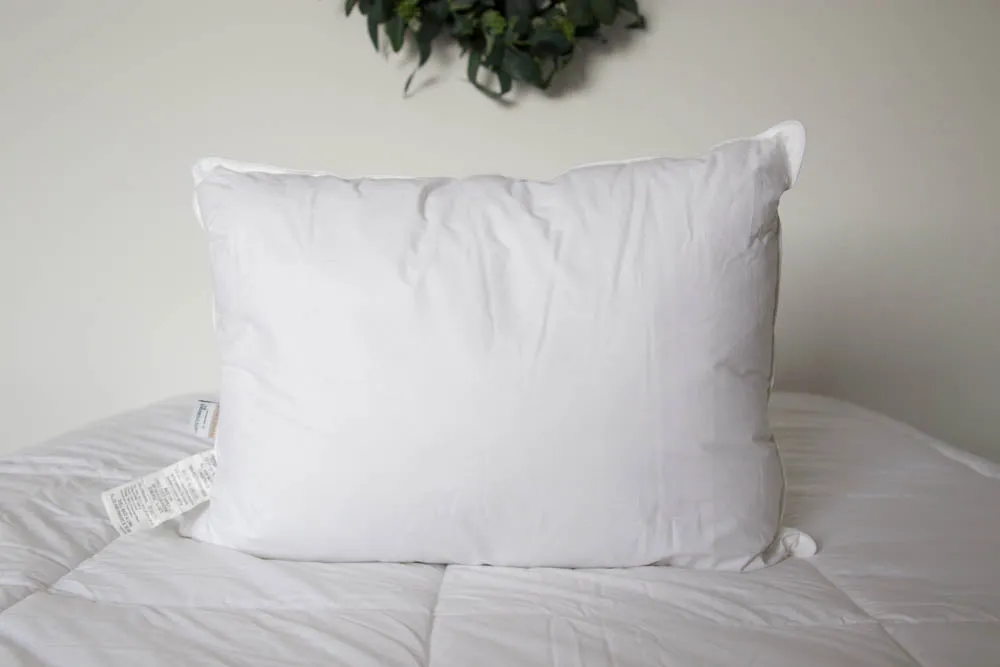 Envirosleep Dream Surrender Polyester Pillow | Medium Support