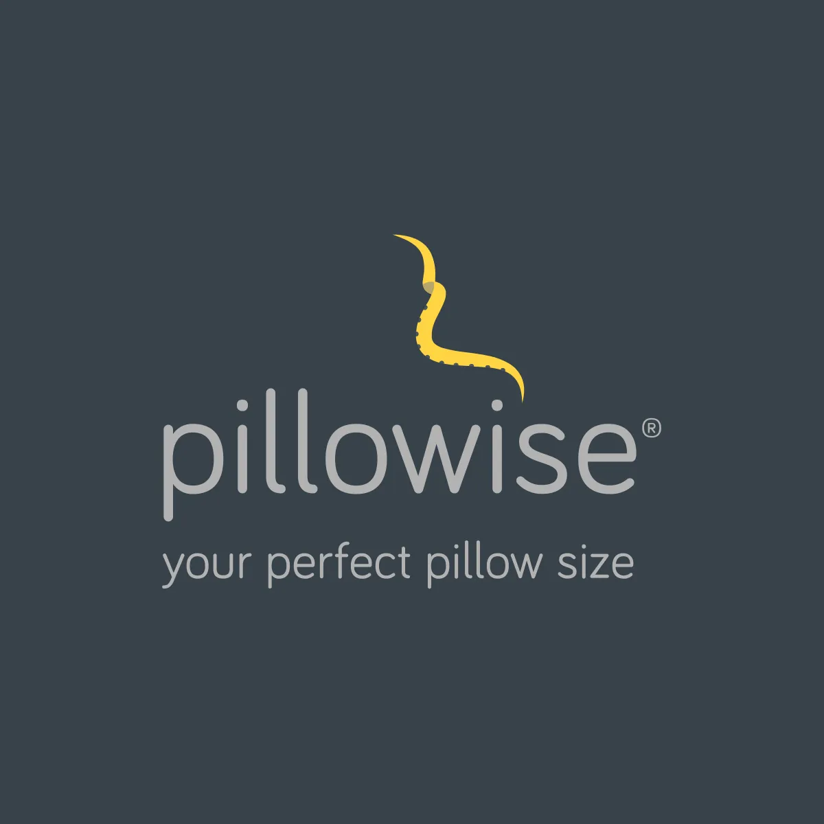 Pillowise Pillow