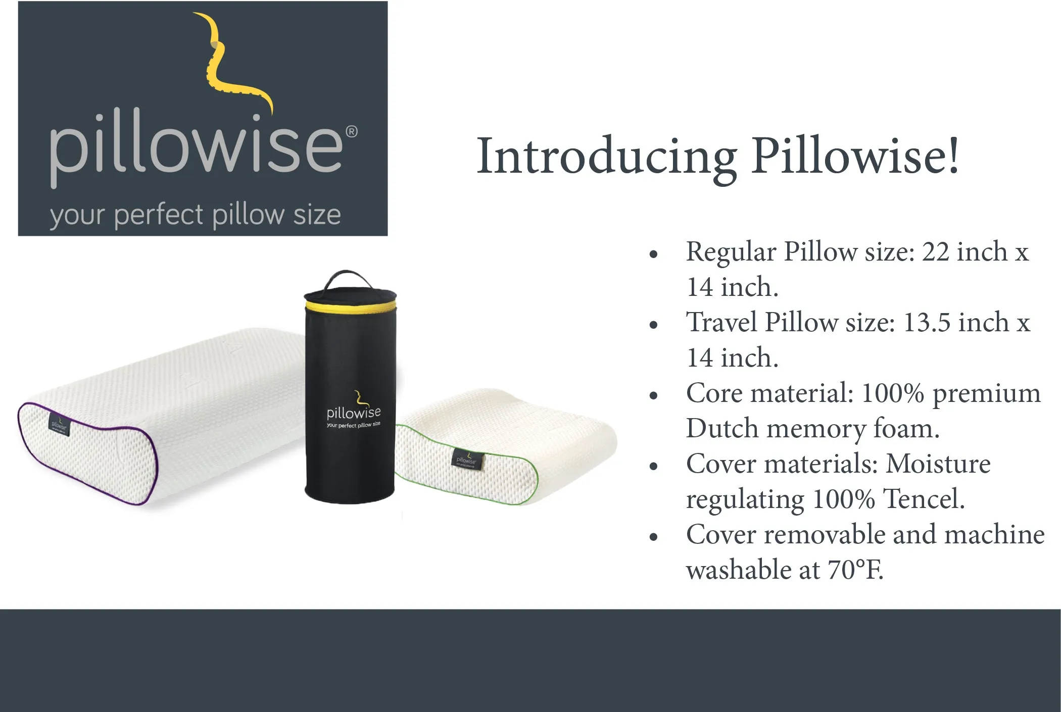 Pillowise Pillow