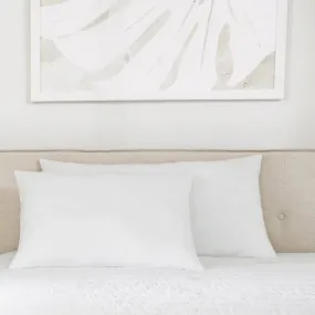 Plush Microfiber Pillow 2-Pack (Sale)