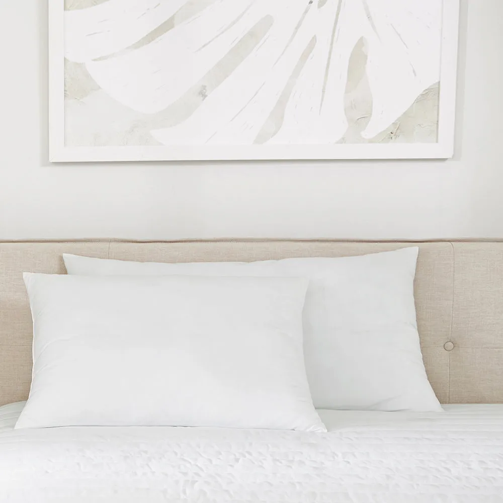 Plush Microfiber Pillow 2-Pack (Sale)