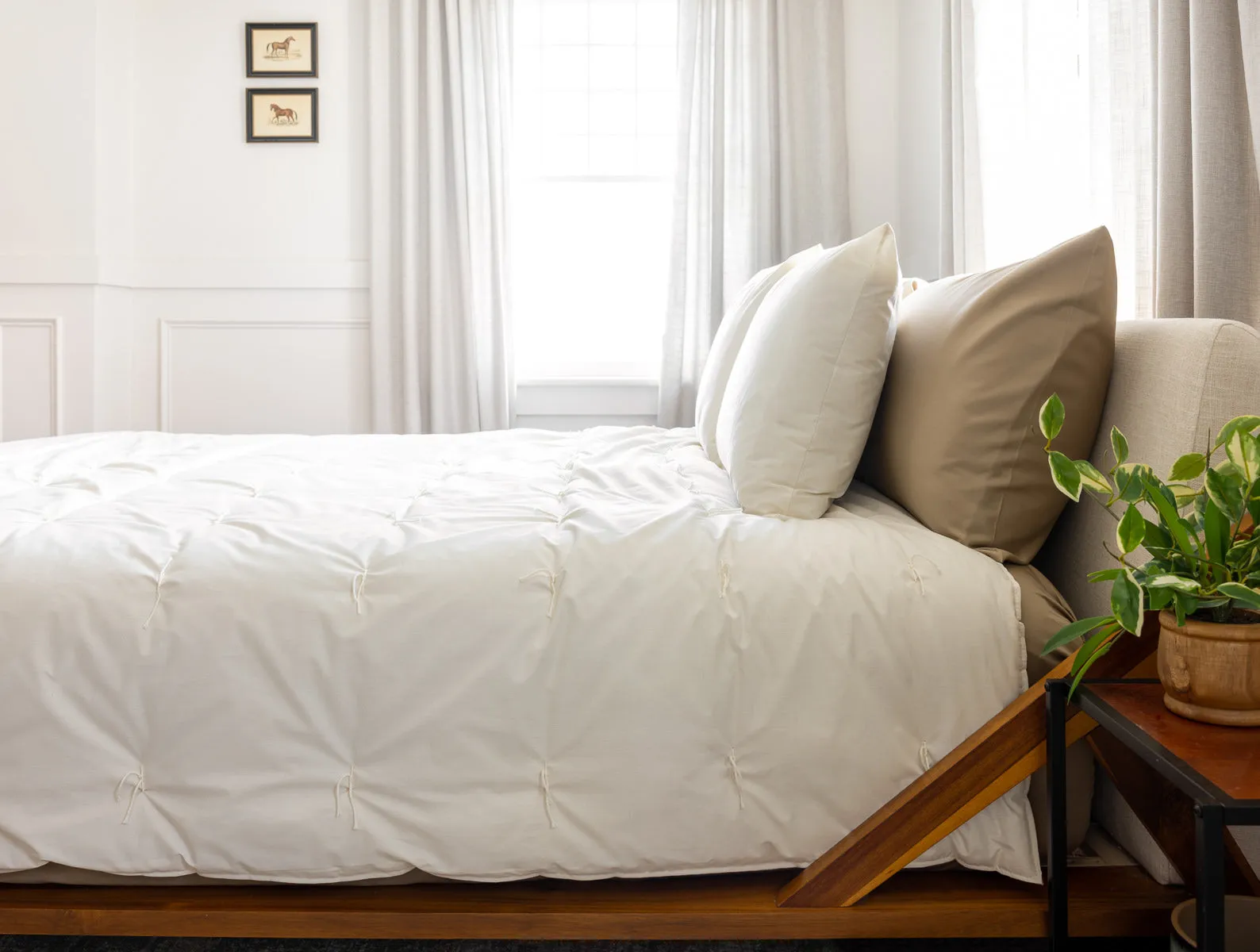 Wool Comforter   Pillows